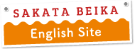 English Site