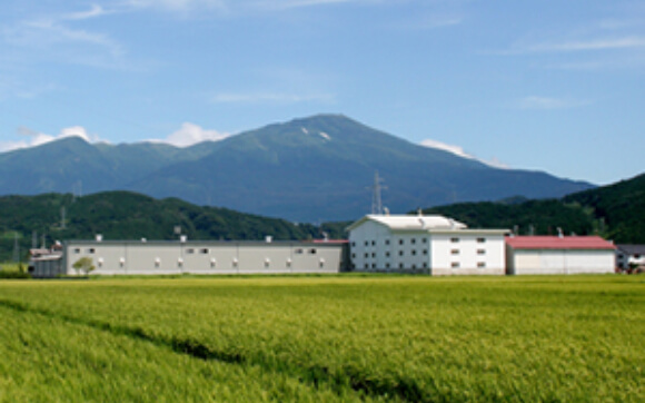 鳥海山麓工場